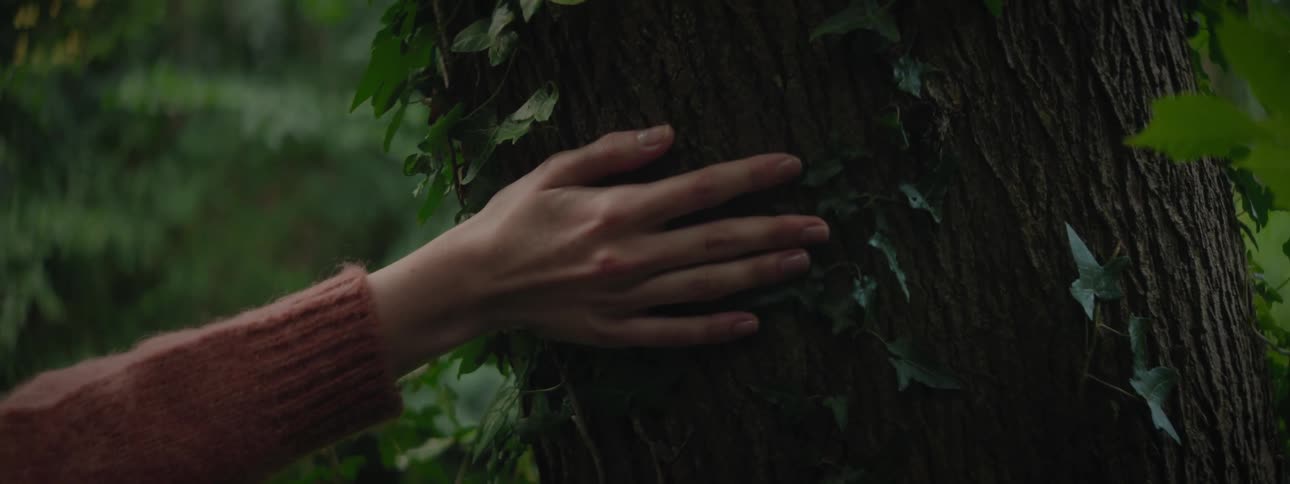 Womans hand moving along a tree trunk