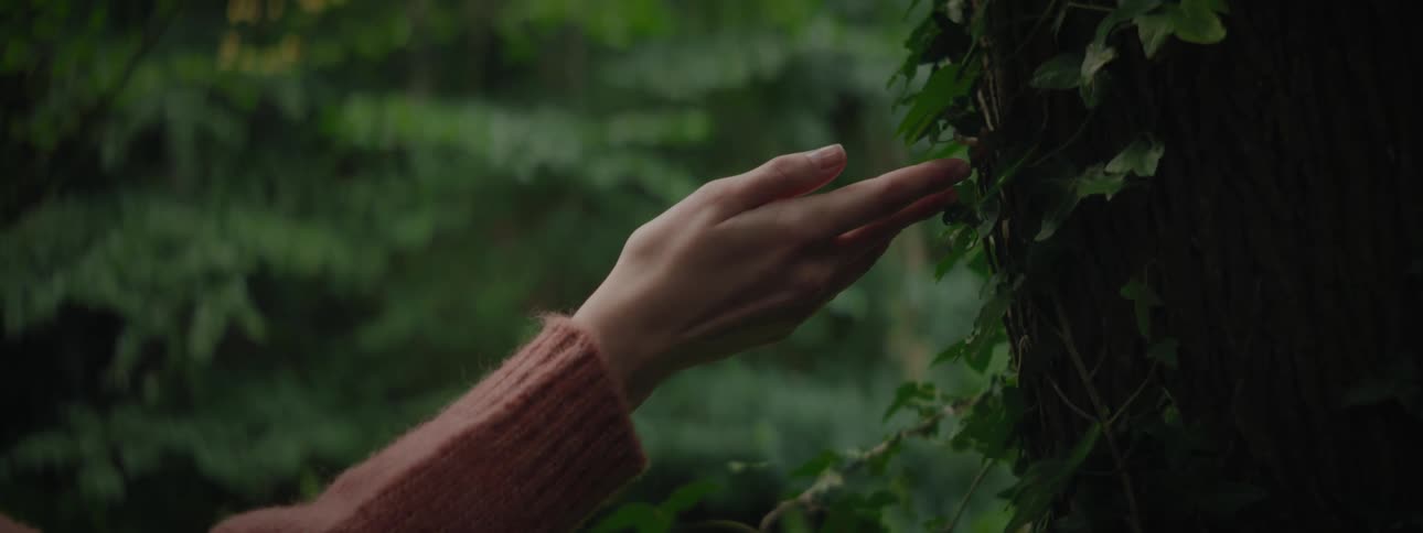 A woman touches the side of a tree