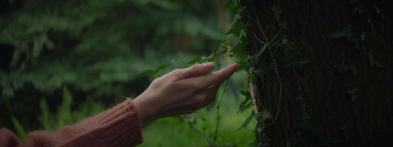 Hand touching a leaf on a tree