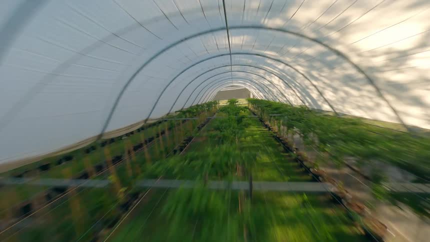FPV aerial shot flying through a greenhouse