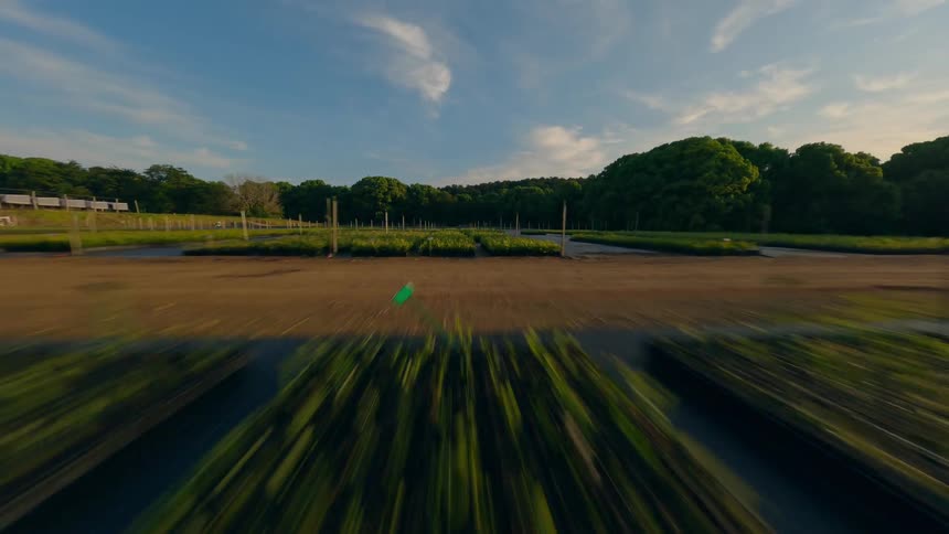 Flying over various garden beds filled with all kinds of plants with my FPV drone.