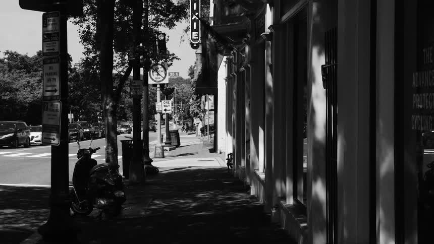 Treelined sidewalk in a city next to a street with vehicles