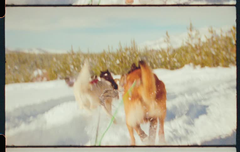 A team of sled dogs pulling a sled through a snowy landscape with mountains in the background