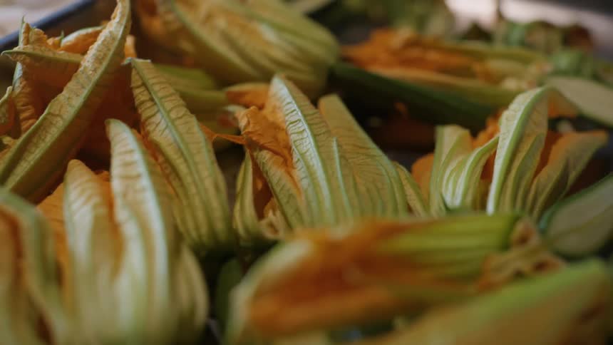 A closeup of pale green and yellow several zucchini flowers arranged closely to each other