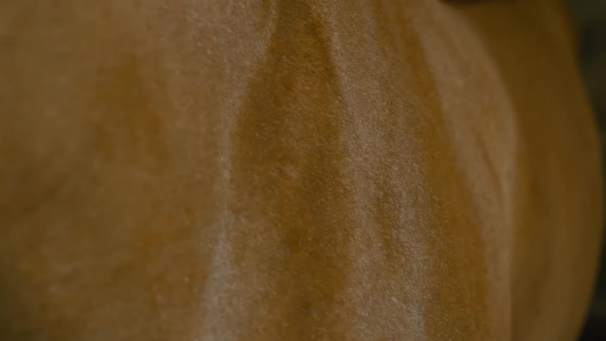 Close up of an abstract structure in burnt gold coloration