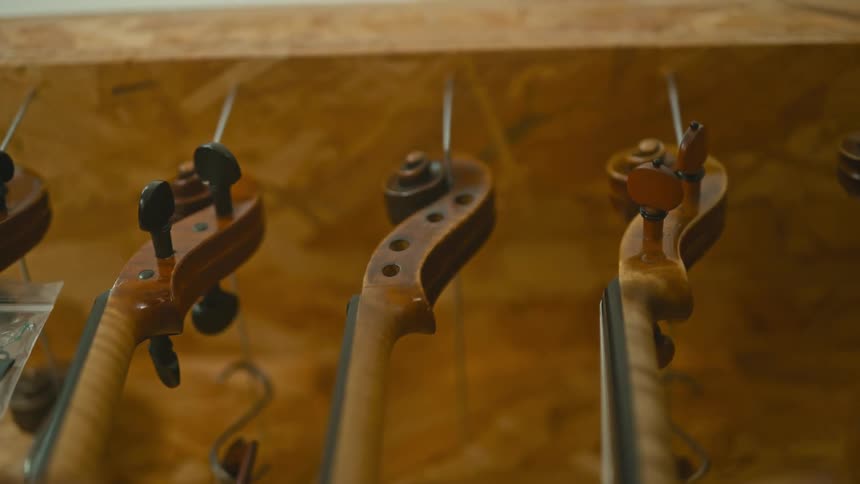 A row of musical instruments are on the table