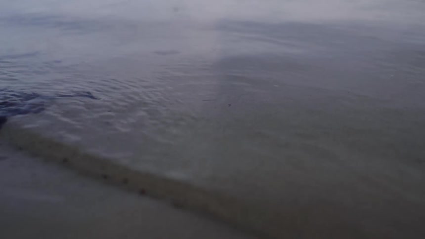 Close up of a dark shoreline with ripples and waves