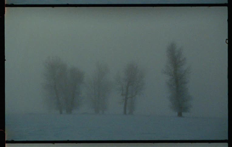 Flat area covered in snow with some trees in the fog