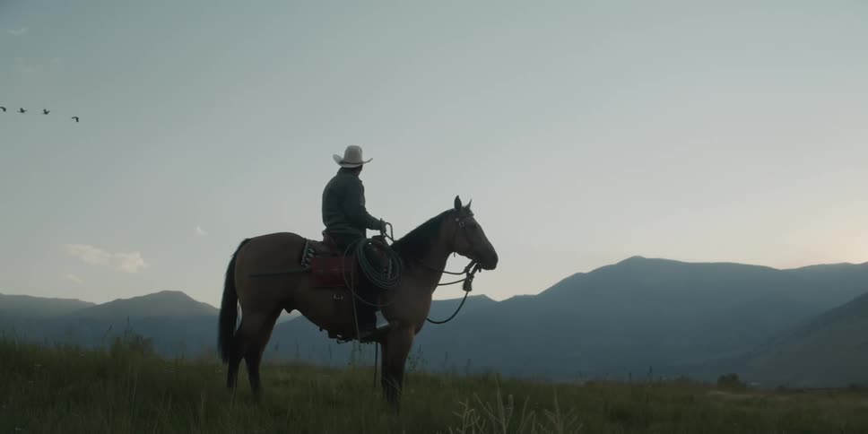 Man on horseback in a field with mountains in the background