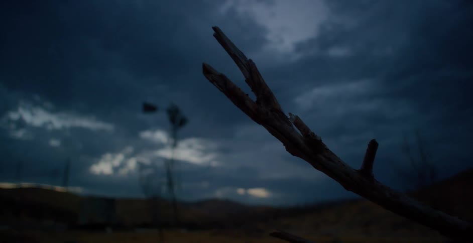 A closeup of a bare tree branch against a dark cloudy dusk sky