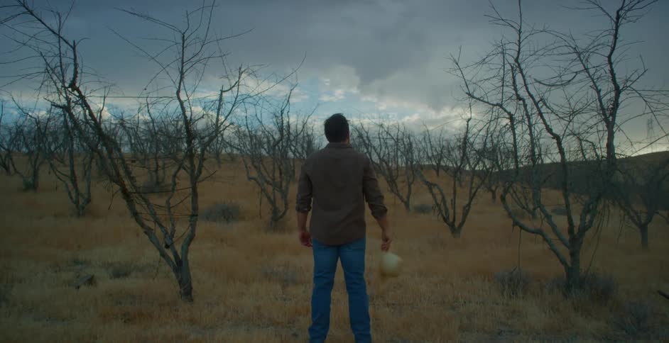 Back view of a man taking off his hat while standing in a field with dry trees