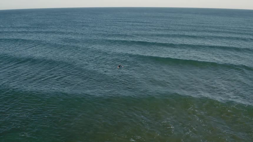 Aerial view of a solitary surfer swimming over a vast ocean with rolling waves