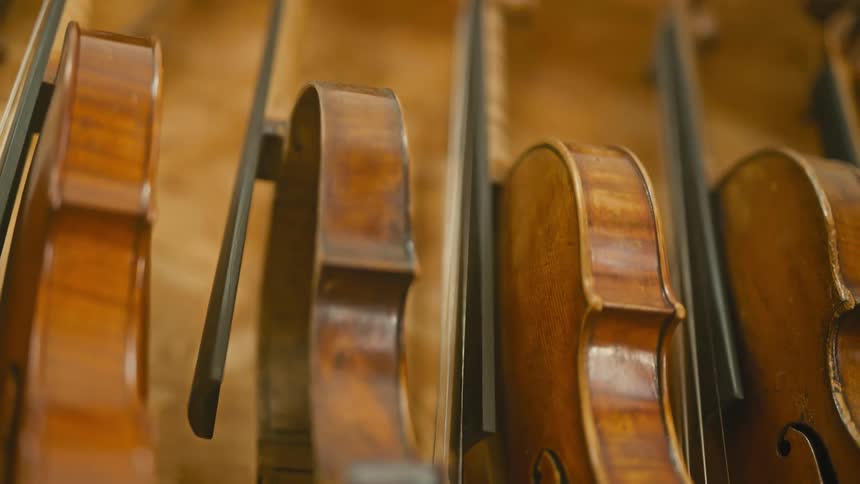A closeup of several violins hanging on a wall