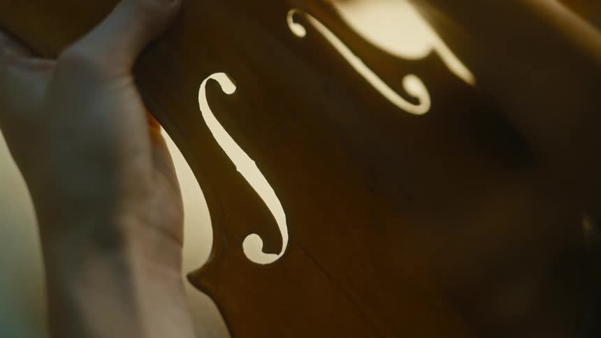 Closeup of a luthiers hands working on the body of a violin