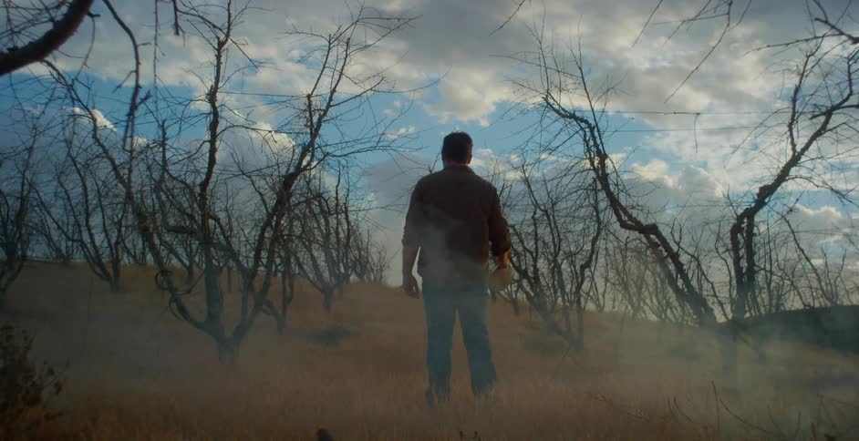 A farmer stands on a hill scattered with small burnt trees after a field fire