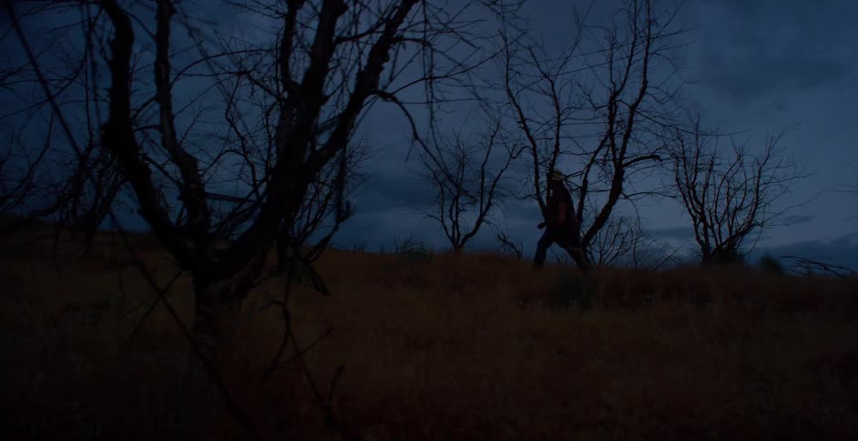 Silhouette of a person walking through an agricultural field with dry trees