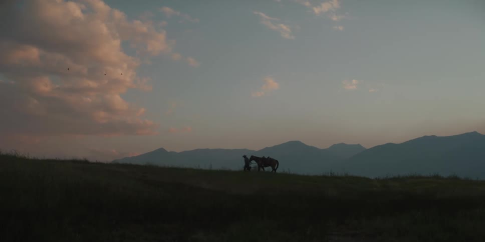 Silhouette of a person walking and pulling a horse by a rope in a field one morning