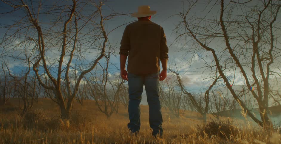 Cowboy observes the fog rolling in over his orchard