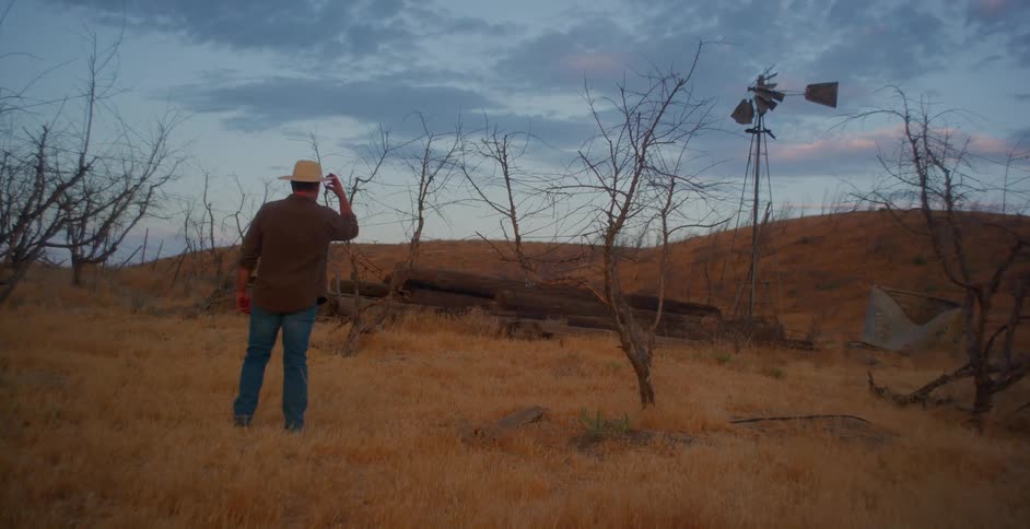 Back view of a man walking in a field with dry trees and taking off his hat
