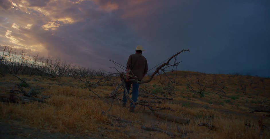 Man with his back turned wearing a hat holds a large crooked branch