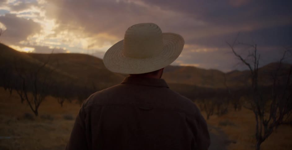 Back view of a man wearing a hat walking through a field on a morning with dry trees