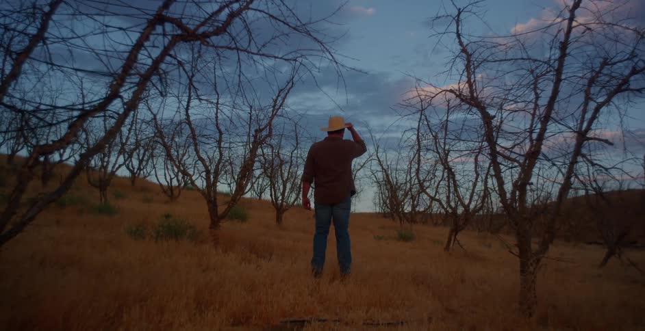A clip of a man standing and looking afar at the vast grasslands
