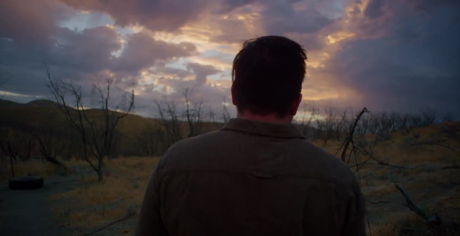Man admires the sunset over the barren grove