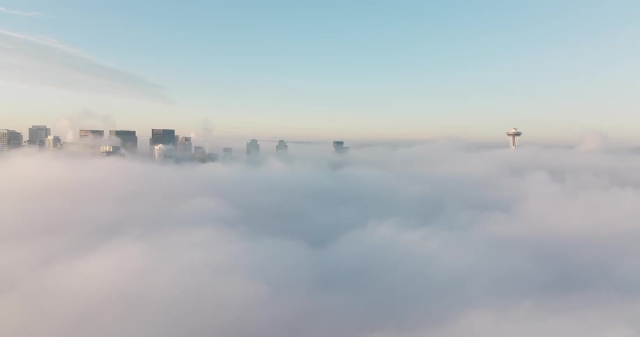 Only the tops of the tallest buildings peek above a marine layer fog bank covering downtown Seattle