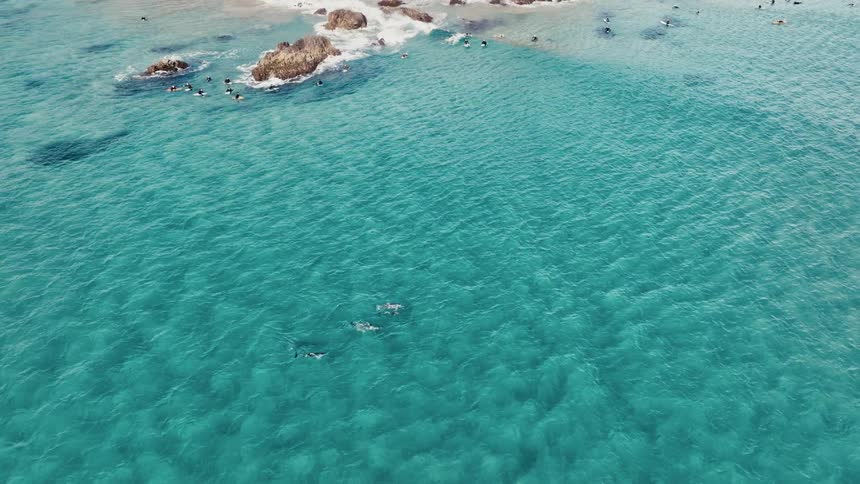 Surfers paddle in a blue ocean coastal area