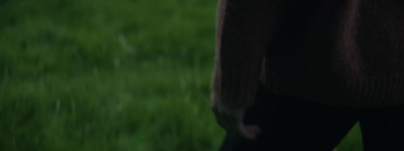 A person in a brown sweater and black pants walks through a lush green field