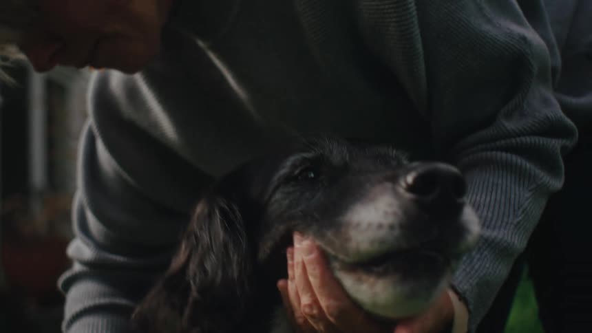 A woman gently brushes a black and white dogs fur