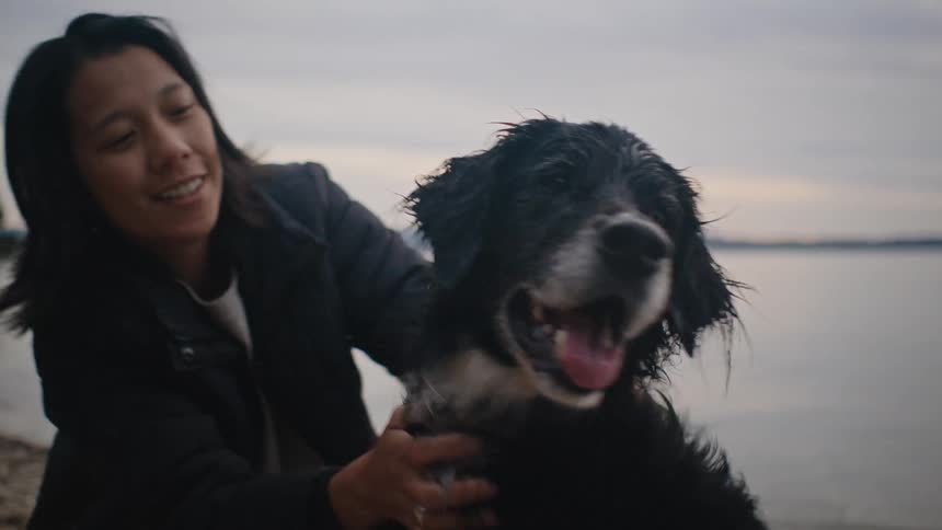 A woman shakes a wet dog on a beach with a lake and a cloudy sky in the background