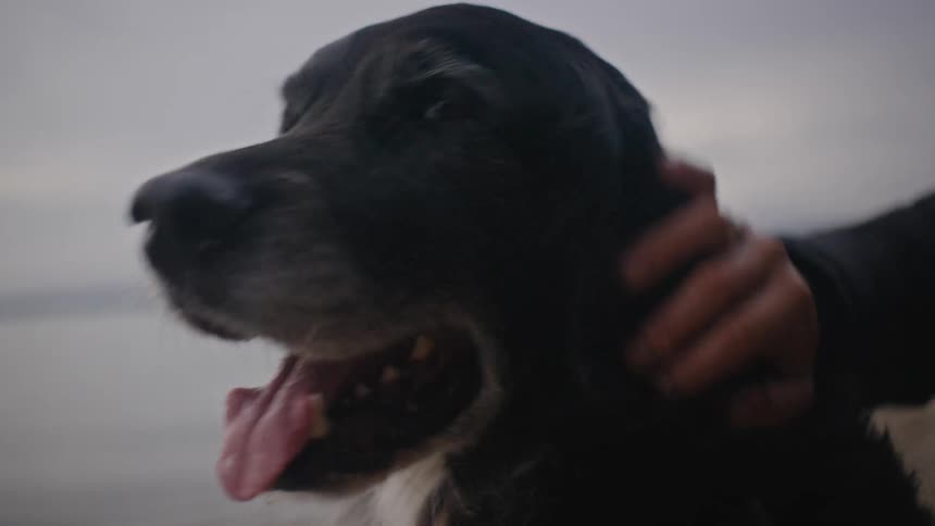 A woman in a black coat pets a wet black dog near the sea
