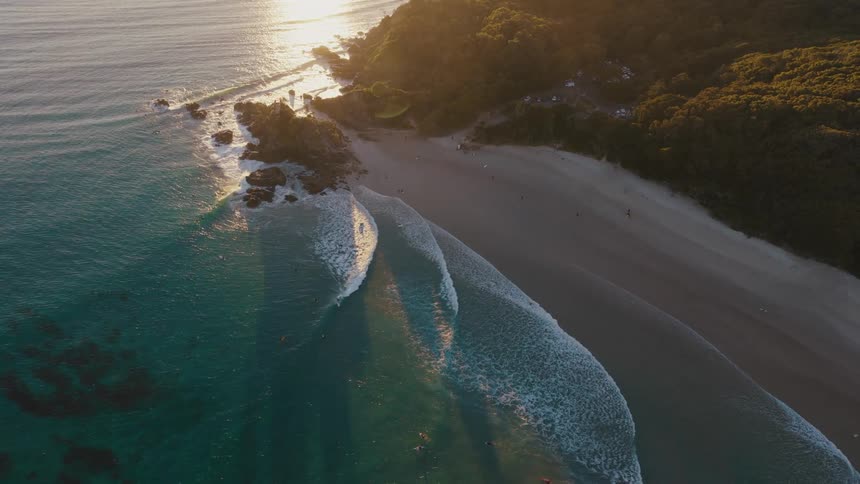Waves reach the sandy beach near the forest