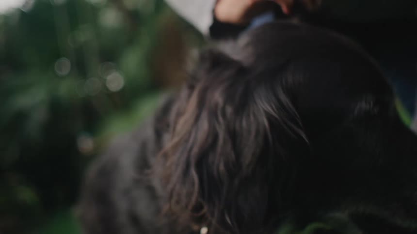 A woman brushes a black dog outside around grass and tall plants