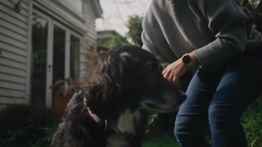 A person grooms a large black dog outdoors using a brush or comb on its fur