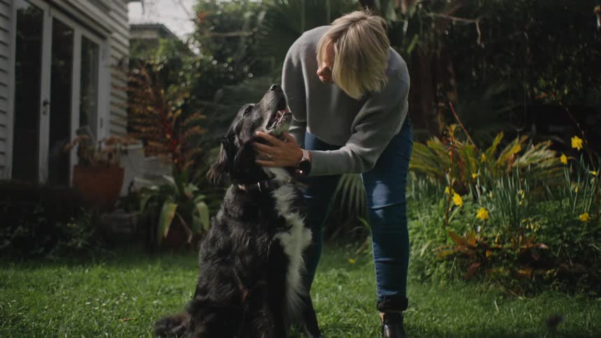A woman pets a large black and white dog in a garden