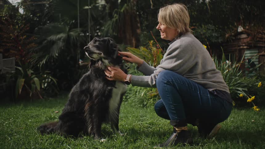 A woman crouches on the green grass in the backyard brushing the fur of a black and white dog
