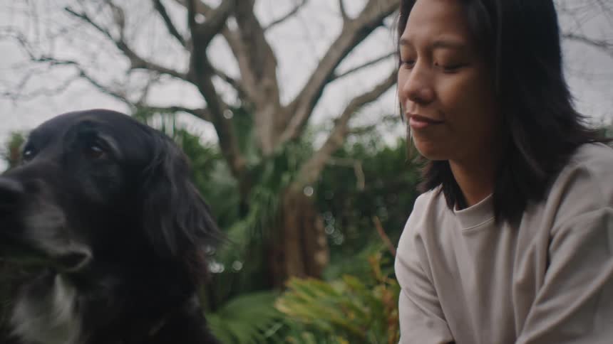 Woman wearing a gray shirt brushes a black and white dog