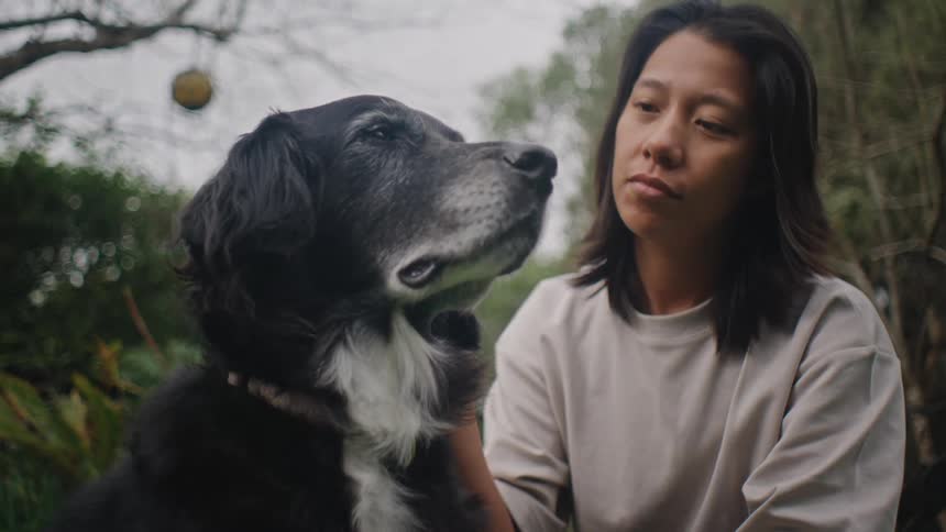 A woman brushes a black dog while theyre both outside in a forest