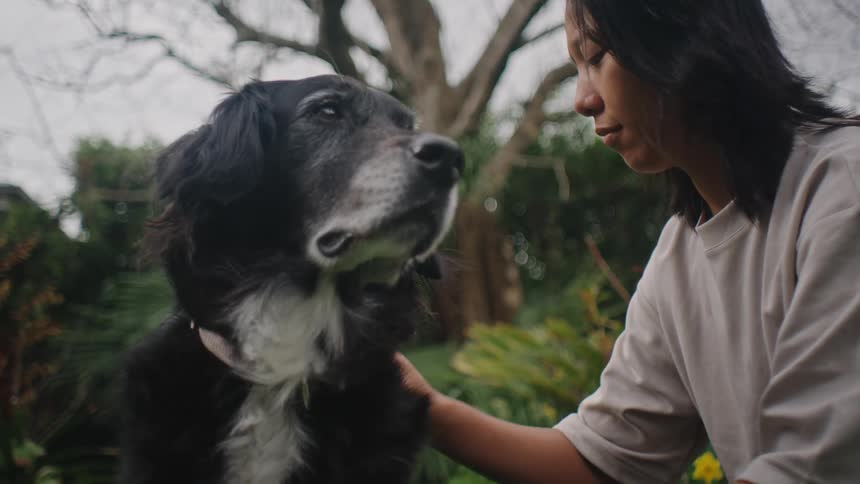 Woman wearing a gray sweatshirt strokes a black and white dog in the garden