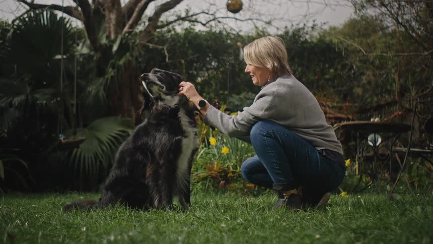 Woman wearing a gray sweater and jeans brushes black and white dogs hair in the backyard