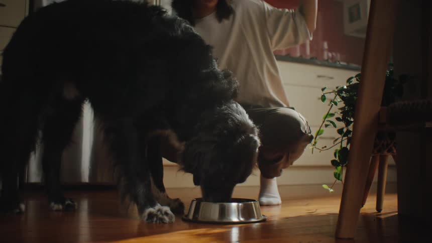 A woman feeds and pets her dog on the kitchen floor at home