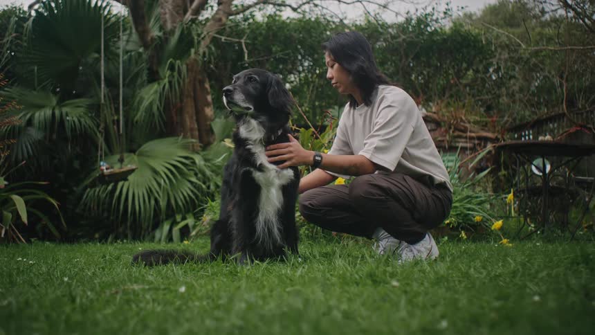 Woman in a garden brushing her dogs fur