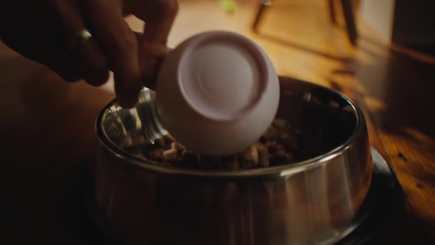 Man puts dog food into a metal bowl sitting on the wooden floor at home