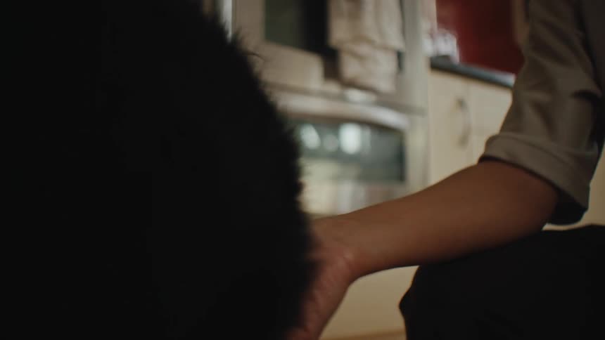A clip of a person petting a dog