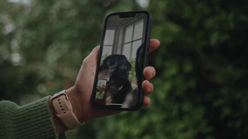 Close up of hand holding smartphone and on video call with woman and dog