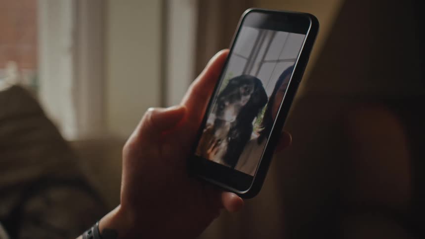 A person is on a video call with a woman and her dog