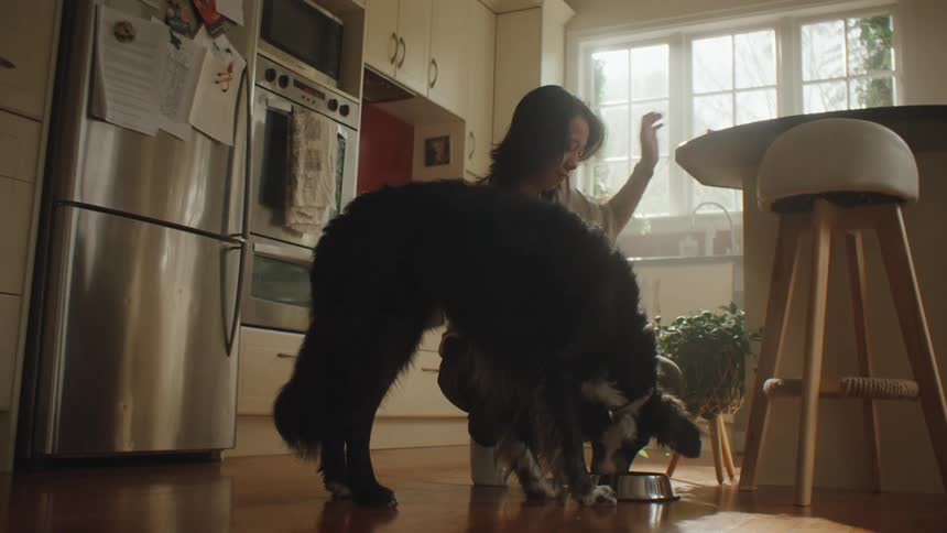 Adult person putting food in a bowl and the dog going to eat it
