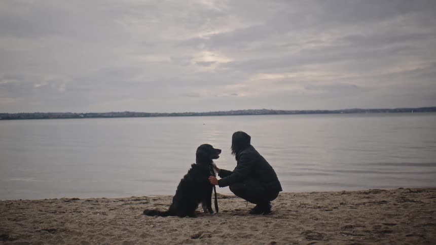 An adult kneels on the beach while petting a black dog